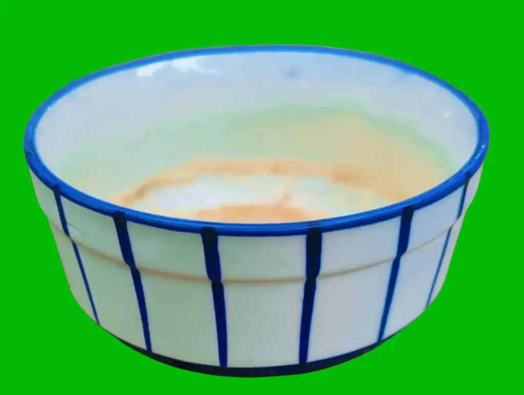 Ceramic pot for water plants