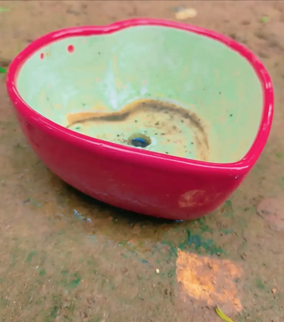 Ceramic pot for gifting red colour heart