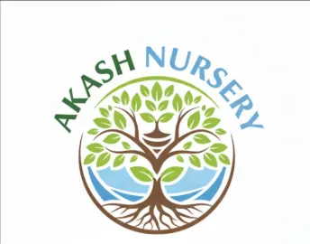 Akash nurser 